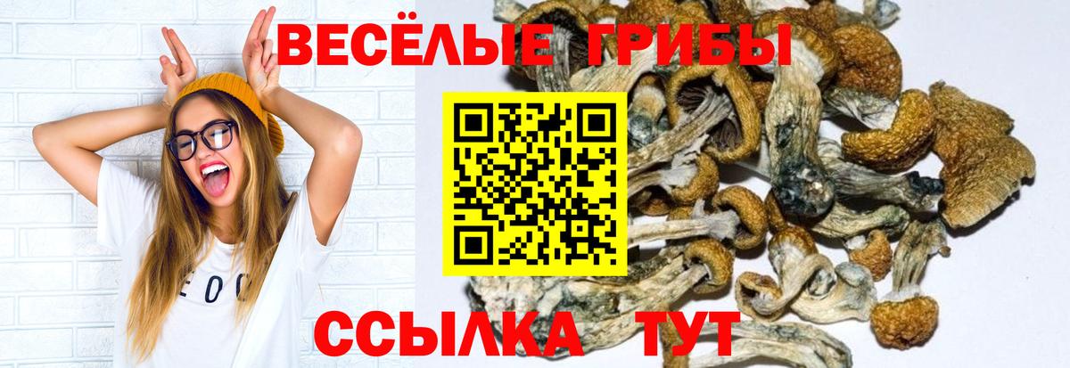 Псилоцибиновые грибы ЛСД  Вход с VPN  сколько стоит  Псилоцибиновые грибы Psilocybe  Донецк 